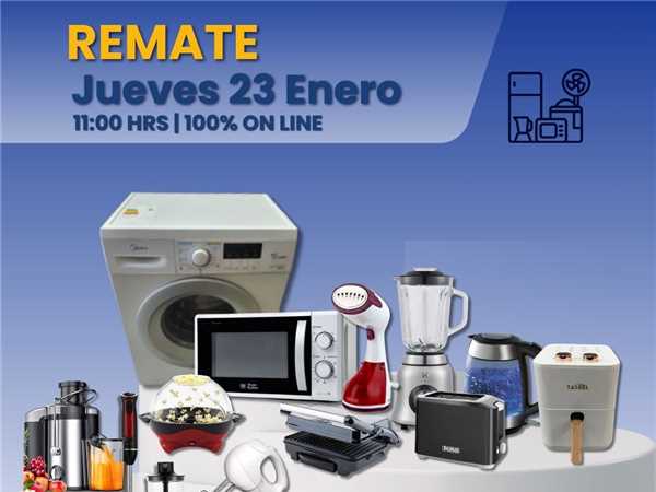 REMATE 23 DE ENERO 2025 11:00 HRS – BIENES