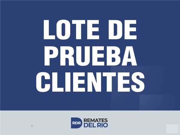 REMATE 15 DE MAYO 2025 11:00 HRS – BIENES