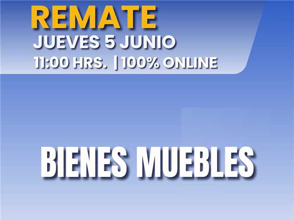 REMATE 05 DE JUNIO 2025 11:00 HRS – BIENES