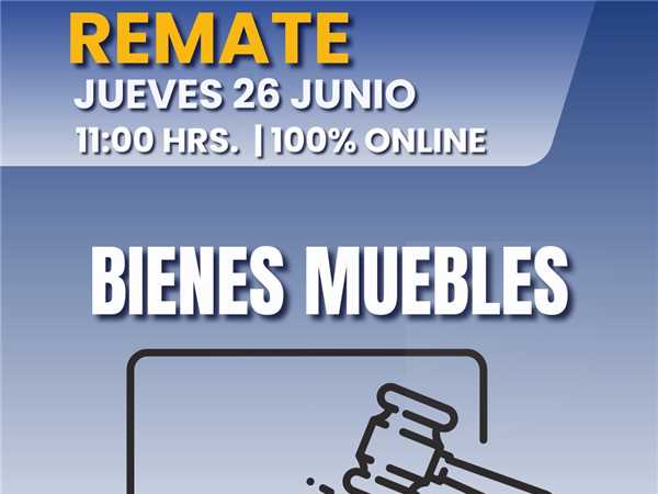 REMATE 26 DE JUNIO 2025 11:00 HRS – BIENES