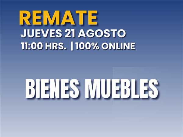REMATE 21 DE AGOSTO 2025 11:00 HRS – BIENES