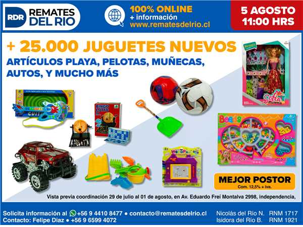 REMATE 05 DE AGOSTO 2025 11:00 HRS – BIENES