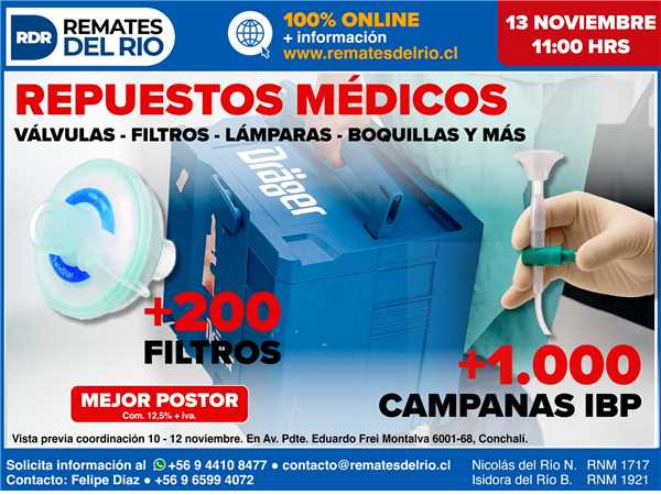 REMATE 13 DE NOVIEMBRE 2025 11:00 HRS – BIENES