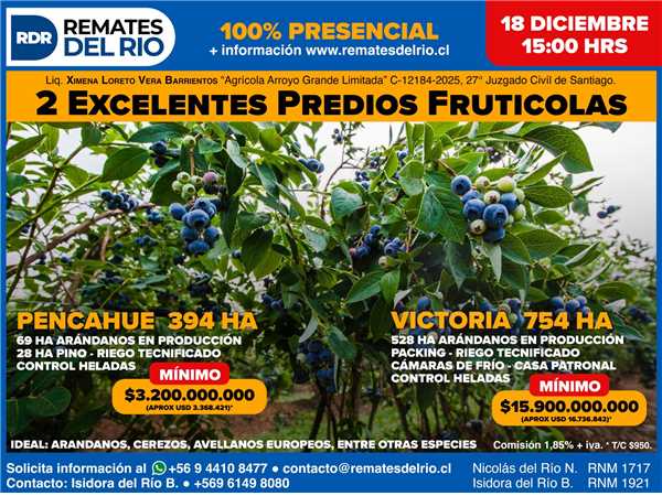 REMATE 18 DE DICIEMBRE 2025 15:00 HRS – PROPIEDADES