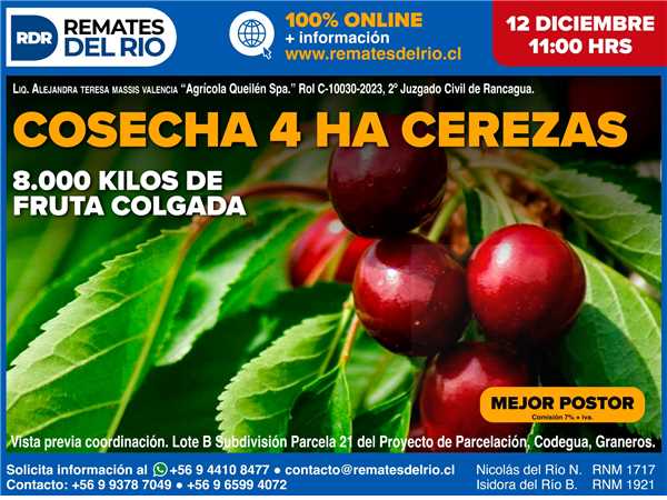 REMATE 12 DE DICIEMBRE 2025 11:00 HRS – BIENES