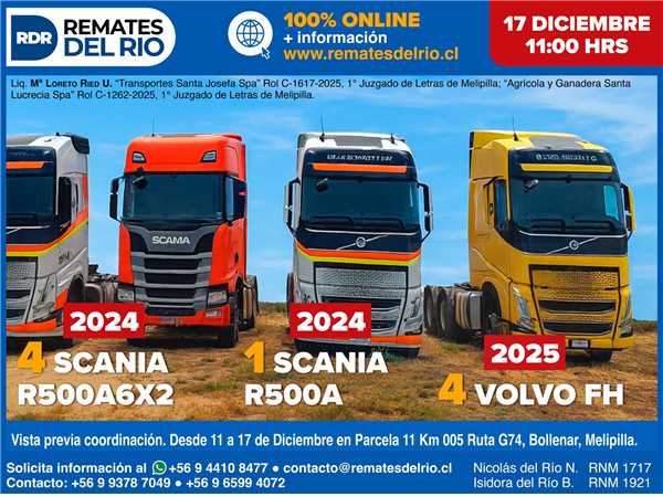 REMATE 17 DE DICIEMBRE 2025 11:00 HRS – BIENES