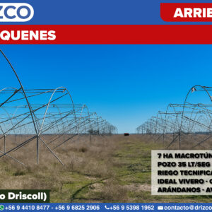 Arriendo - Campo Cauquenes