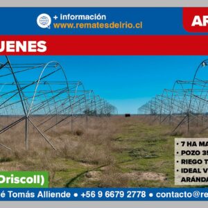 Arriendo - Campo Cauquenes
