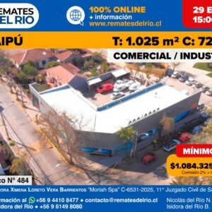 Remate - Amplia Propiedad Industrial