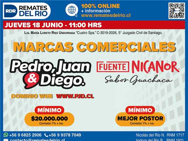 REMATE 18 DE JUNIO 2026 11:00 HRS – BIENES