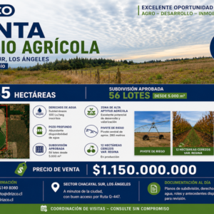 Venta Directa - Predio Agrícola Chacayal Sur, Los Angeles